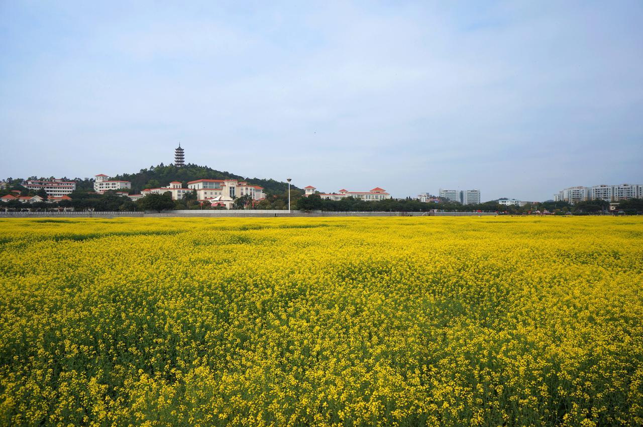 Dongguan Goodview Hotel Sangem Qiaotou Exterior photo