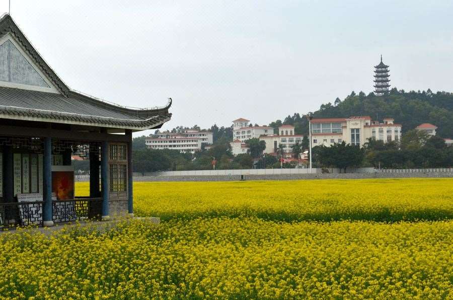 Dongguan Goodview Hotel Sangem Qiaotou Amenities photo